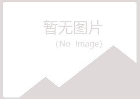 玉树夏日服务有限公司